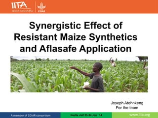 www.iita.orgA member of CGIAR consortium Nestle visit 23-24 Jan . 14
Synergistic Effect of
Resistant Maize Synthetics
and Aflasafe Application
Joseph Atehnkeng
For the team
 