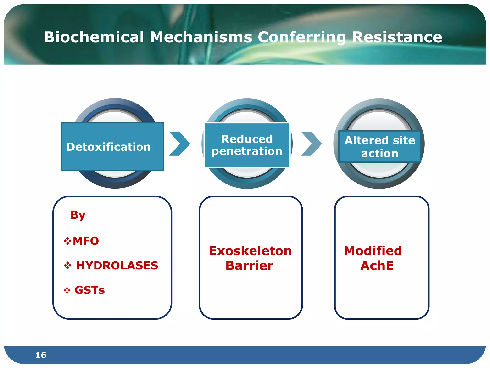 Exoskeleton
Barrier
By
MFO
 HYDROLASES
 GSTs
Modified
AchE
Biochemical Mechanisms Conferring Resistance
Reduced
penetration
Altered site
action
DetoxificatiOn
16
 