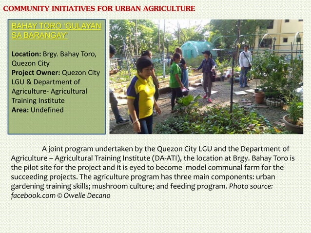 Synergizing urban agriculture with open space requirements for public ...