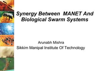 Synergy Between  MANET And Biological Swarm Systems Arunabh Mishra Sikkim Manipal Institute Of Technology 
