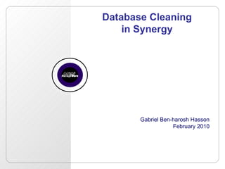 Database Cleaning in Synergy Gabriel Ben-harosh Hasson February 2010 