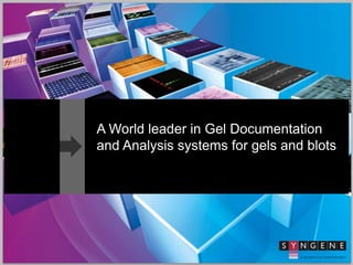 A World leader in Gel Documentation
and Analysis systems for gels and blots
 