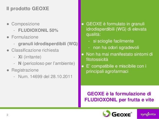geoxe