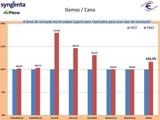 100,4% 100,7%
115,9%
109,3%
106,2%
100,0% 100,0%
103,3%
80%
90%
100%
110%
120%
PIEROBON (1) PIEROBON (2) VELUDO DELUCCA COLOMBO BEMHUR (1) BEMHUR (2) MODA
TEST TRAT
Gemas / Cana
A faixa de variação muito ampla sugere mais repetições para esse tipo de avaliação
 