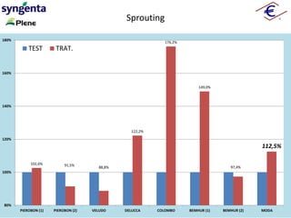 102,6% 91,5%
88,8%
122,2%
176,2%
149,0%
97,4%
112,5%
80%
100%
120%
140%
160%
180%
PIEROBON (1) PIEROBON (2) VELUDO DELUCCA COLOMBO BEMHUR (1) BEMHUR (2) MODA
TEST TRAT.
Sprouting
 