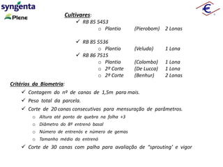 Cultivares:
 RB 85 5453
o Plantio (Pierobom) 2 Lonas
 RB 85 5536
o Plantio (Veludo) 1 Lona
 RB 86 7515
o Plantio (Colombo) 1 Lona
o 2º Corte (De Lucca) 1 Lona
o 2º Corte (Benhur) 2 Lonas
Critérios da Biometria:
 Contagem do nº de canas de 1,5m para mais.
 Peso total da parcela.
 Corte de 20 canas consecutivas para mensuração de parâmetros.
o Altura até ponto de quebra na folha +3
o Diâmetro do 8º entrenó basal
o Número de entrenós e número de gemas
o Tamanho médio do entrenó
 Corte de 30 canas com palha para avaliação de “sprouting’ e vigor
 
