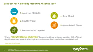 Syngenta's Predictive Analytics Platform for Seeds R&D | PPTX