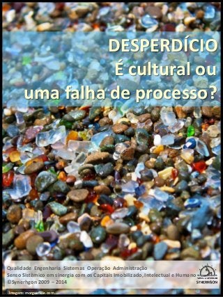 DESPERDÍCIO 
É cultural ou 
uma falha de processo? 
Qualidade Engenharia Sistemas Operação Administração 
Senso Sistêmico em sinergia com os Capitais Imobilizado, Intelectual e Humano 
©Synerhgon 2009 – 2014 
Imagem: morguefFile.com  