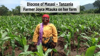 Diocese of Masasi – Tanzania 
Farmer Joyce Mtauka on her farm
 