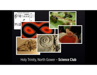 Holy Trinity, North Gower – Science Club
 