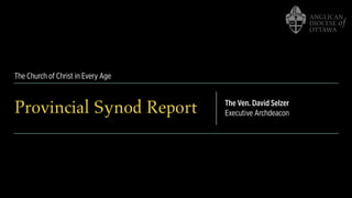 The Church of Christ in Every Age
Provincial Synod Report The Ven. David Selzer
Executive Archdeacon
 