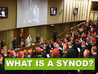 WHAT IS A SYNOD?
 
