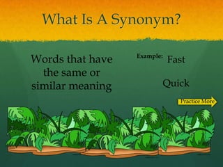 What Is A Synonym?

                  Example:
Words that have              Fast
  the same or
similar meaning              Quick
                                Practice More
 