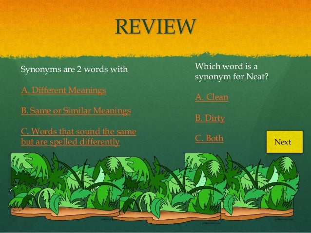 Synonym pp