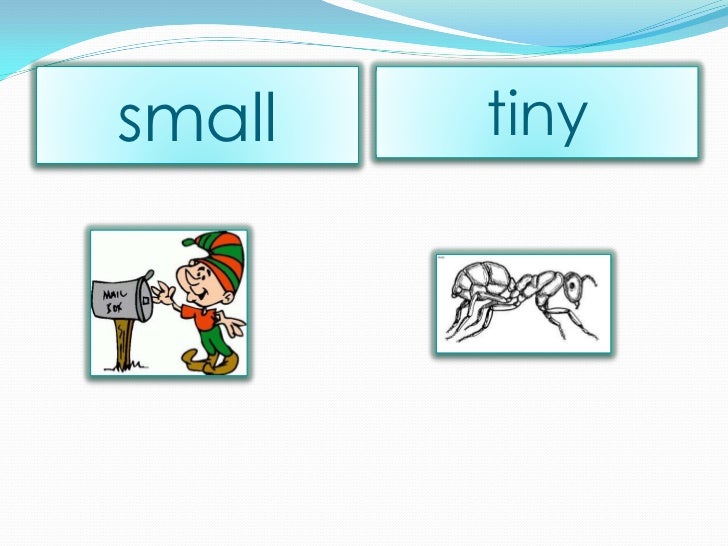 dossier synonym dossier synonym