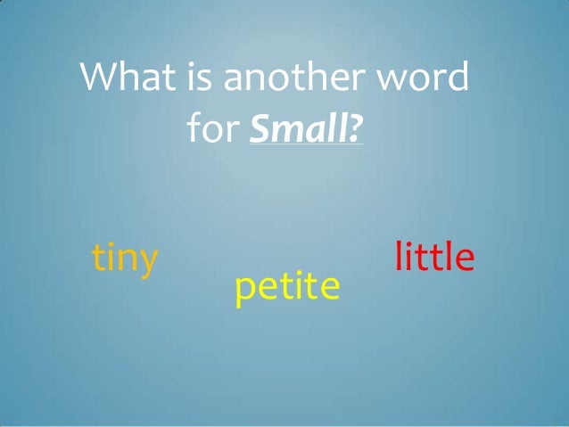 word for small