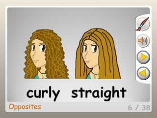6 / 38
curly straight
Opposites
 