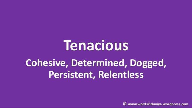 Synonyms 1