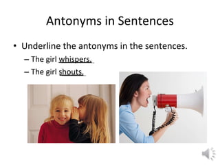 Antonyms in Sentences Underline the antonyms in the sentences. The girl whispers. The girl shouts. 