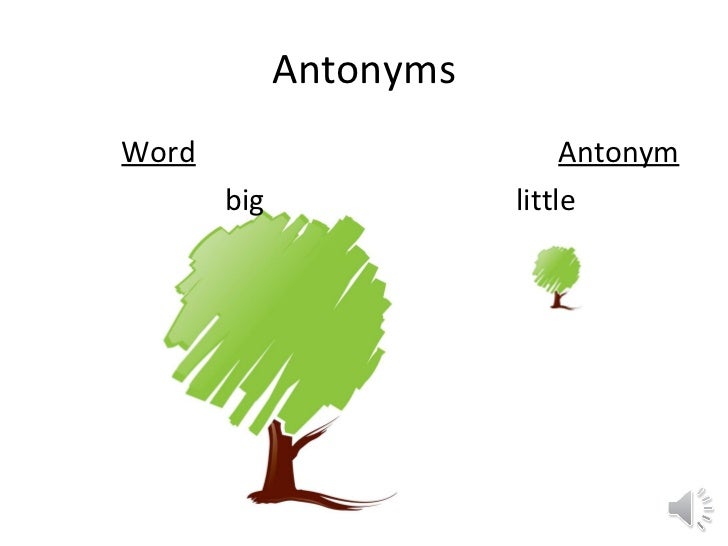 synonyms and antonyms