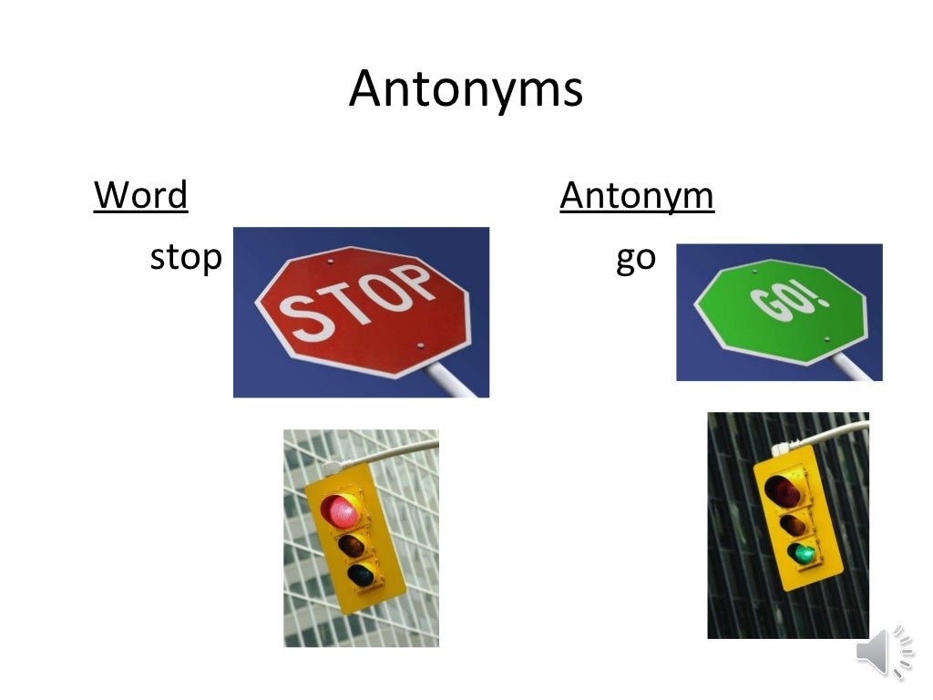Synonyms and Antonyms
