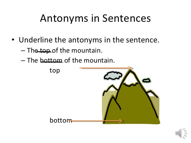 Synonyms And Antonyms