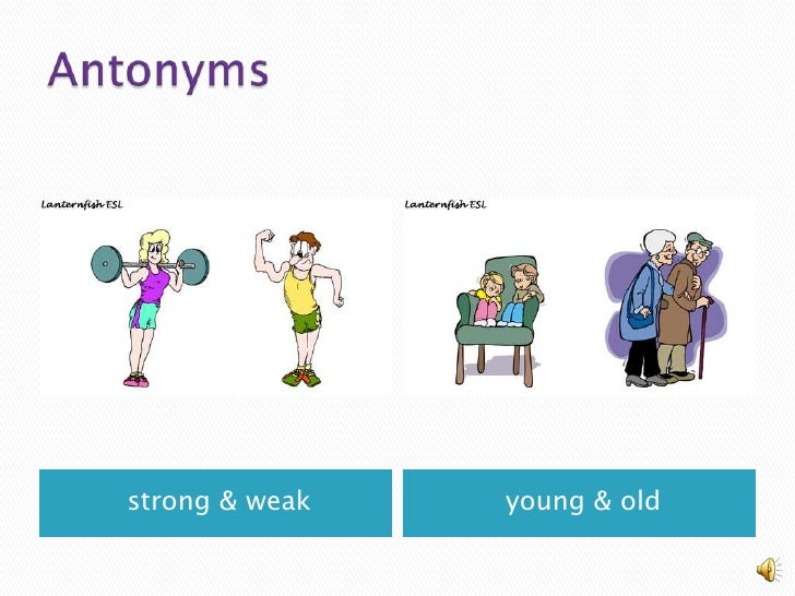 Synonyms & Antonyms, A Grammar MiniLesson