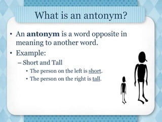 Synonyms and Antonyms, List and Examples Full Details