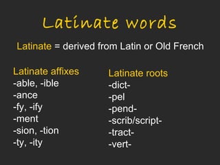 Latinate words
Latinate = derived from Latin or Old French

Latinate affixes     Latinate roots
-able, -ible         -dict-
-ance                -pel
-fy, -ify            -pend-
-ment                -scrib/script-
-sion, -tion         -tract-
-ty, -ity            -vert-
 