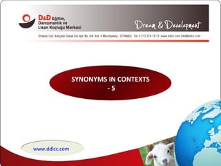 SYNONYMS IN CONTEXTS - 5 www.ddlcc.com 