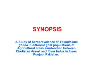 SYNOPSIS A Study of Seroprevalance of  Toxoplasma gondii  in different goat populations of Agricultural areas sandwiched between Cholistan desert and River Indus in lower Punjab, Pakistan.   