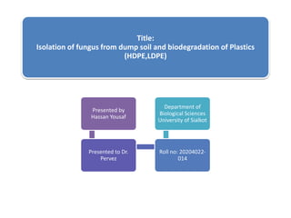 Title:
Isolation of fungus from dump soil and biodegradation of Plastics
(HDPE,LDPE)
Presented by
Hassan Yousaf
Presented to Dr.
Pervez
Roll no: 20204022-
014
Department of
Biological Sciences
University of Sialkot
 