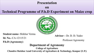 Presentation
on
Technical Programme of P.h.D Experiment on Maize crop
Student name- Shikhar Verma
Id. No.- CA-12115/21
P.h.D (Agronomy)
Advisor – Dr. D. D. Yadav
Professor Agronomy
Department of Agronomy
College of Agriculture
Chandra Shekhar Azad University of Agriculture & Technology, Kanpur (U.P.)
 