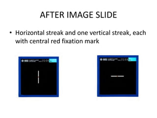 AFTER IMAGE SLIDE
• Horizontal streak and one vertical streak, each
with central red fixation mark
 