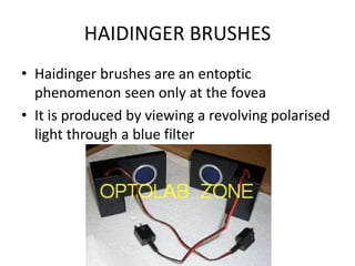 HAIDINGER BRUSHES
• Haidinger brushes are an entoptic
phenomenon seen only at the fovea
• It is produced by viewing a revolving polarised
light through a blue filter
 
