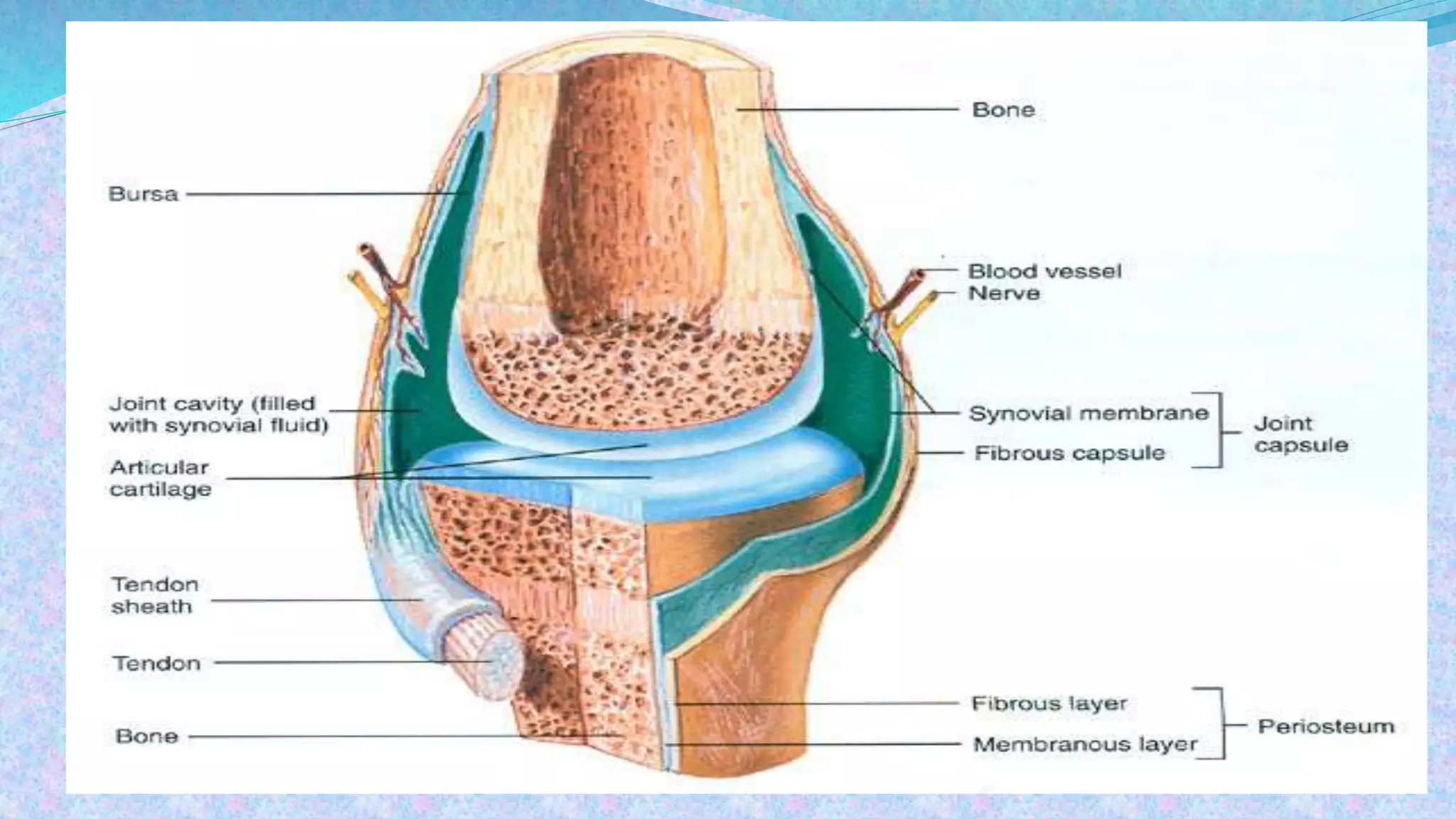 BIOCHEMISTRY OF SYNOVIAL FLUID | PPTX