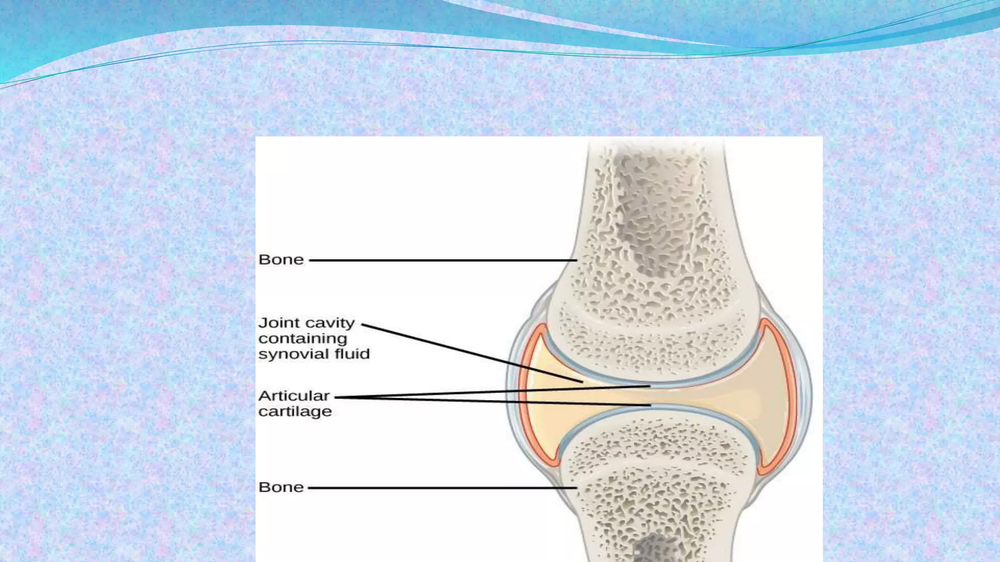 BIOCHEMISTRY OF SYNOVIAL FLUID | PPTX