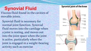 BIOCHEMISTRY OF SYNOVIAL FLUID | PPTX