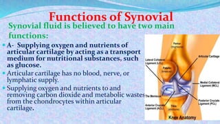 BIOCHEMISTRY OF SYNOVIAL FLUID | PPTX
