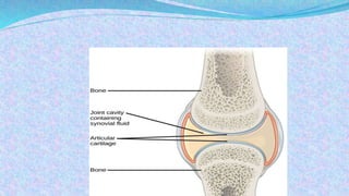 BIOCHEMISTRY OF SYNOVIAL FLUID | PPTX