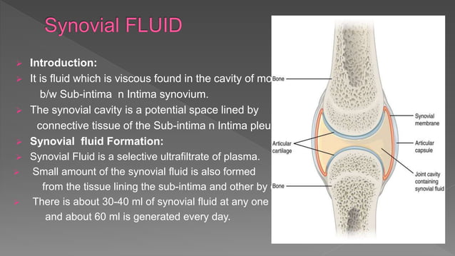 Synovial fluid | PPTX
