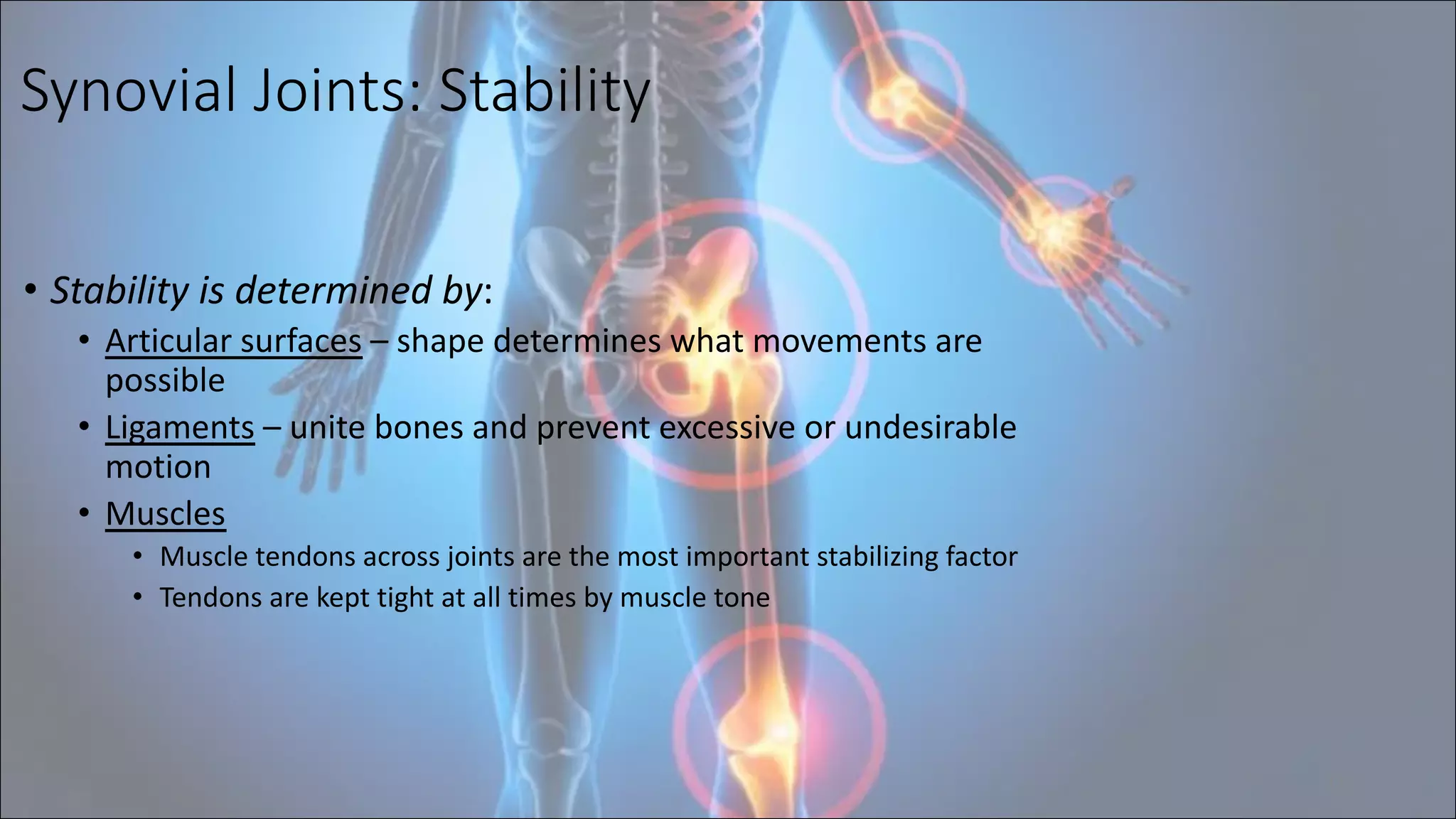 Synovial Joints: Stability
• Stability is determined by:
• Articular surfaces – shape determines what movements are
possible
• Ligaments – unite bones and prevent excessive or undesirable
motion
• Muscles
• Muscle tendons across joints are the most important stabilizing factor
• Tendons are kept tight at all times by muscle tone
11
 