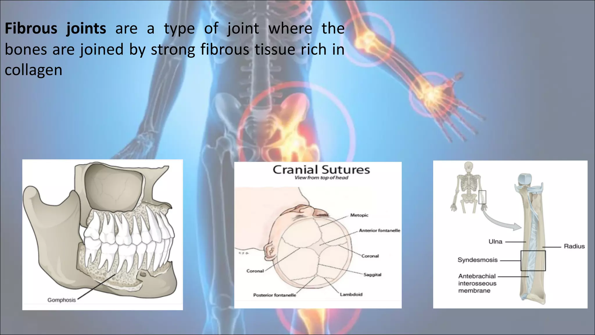 4
Fibrous joints are a type of joint where the
bones are joined by strong fibrous tissue rich in
collagen
 