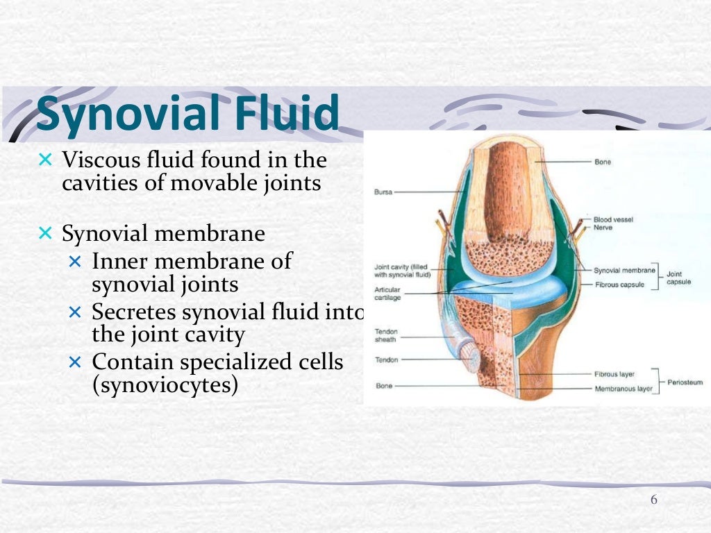 Clinical applications of Synovial (joint ) fluid analysis Dr.Sandeep…