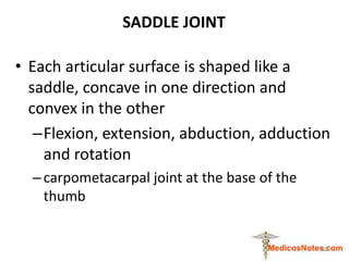 SADDLE JOINT
• Each articular surface is shaped like a
saddle, concave in one direction and
convex in the other
–Flexion, ...