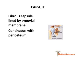 CAPSULE
Fibrous capsule
lined by synovial
membrane
Continuous with
periosteum
5
 