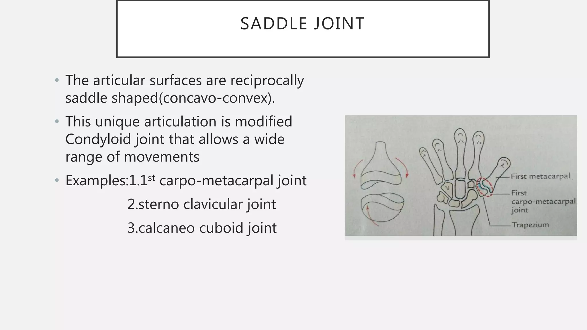 Classifiction ofSynovial joints | PPTX