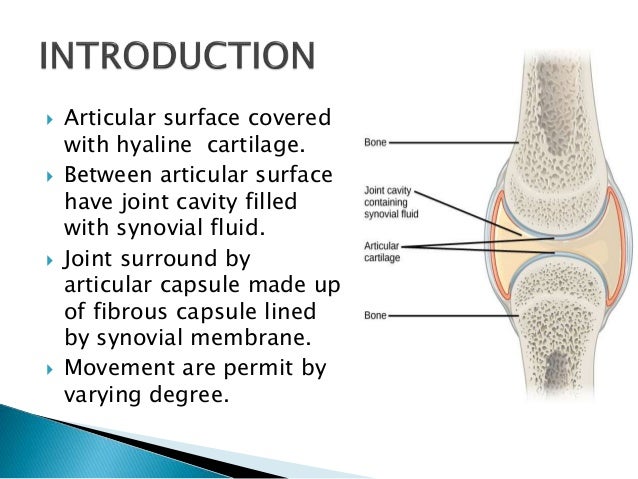 Synovial joint