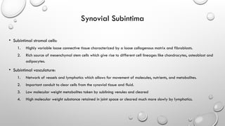 Synovium and its associated PATHOLOGY.pptx