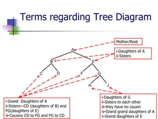 Terms regarding Tree Diagram
Mother/Root
A

i-Daughters of A
ii-Sisters

B
C

E
D

F

G
H

i-Grand Daughters of A
ii-Sisters—CD (daughters of B) and
FG(daughters of E)
iii-Cousins CD to FG and FG to CD

J
i-Daughters of G
ii-Sisters to each other
iii-they have no cousin
iv-Grand grand daughters of A
v-Grand daughters of E

 